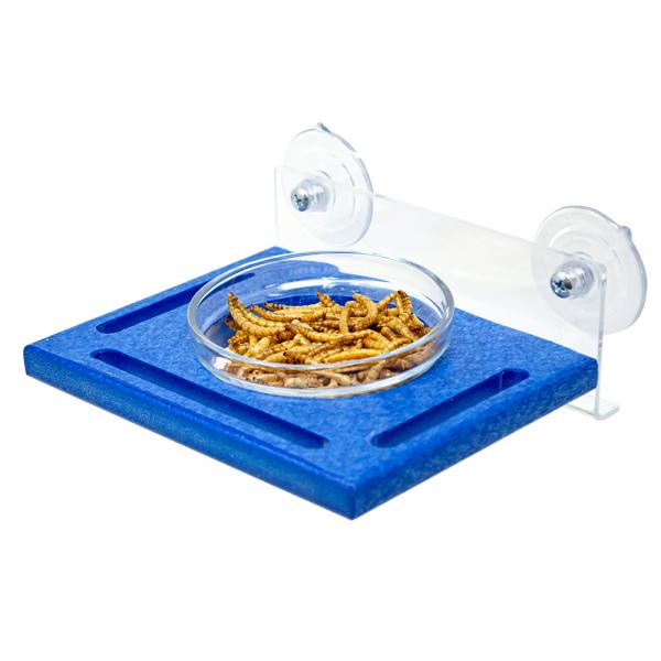 Picture of Songbird Essentials SERUBWTFB Blue Window Mealworm Feeder