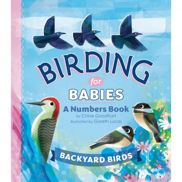 Picture of Random House RH9780593386989 Birding for Babies Backyard Birds Book