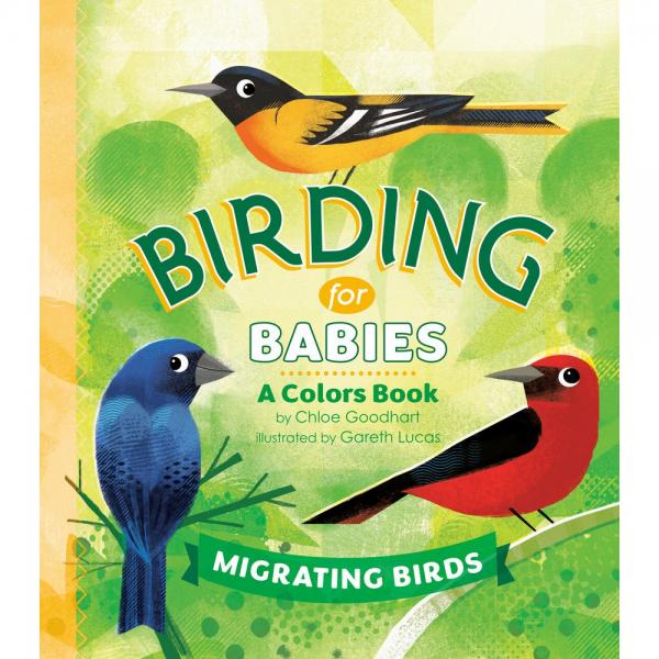 Picture of Random House RH9780593386965 Birding for Babies Migrating Birds A Colors Book