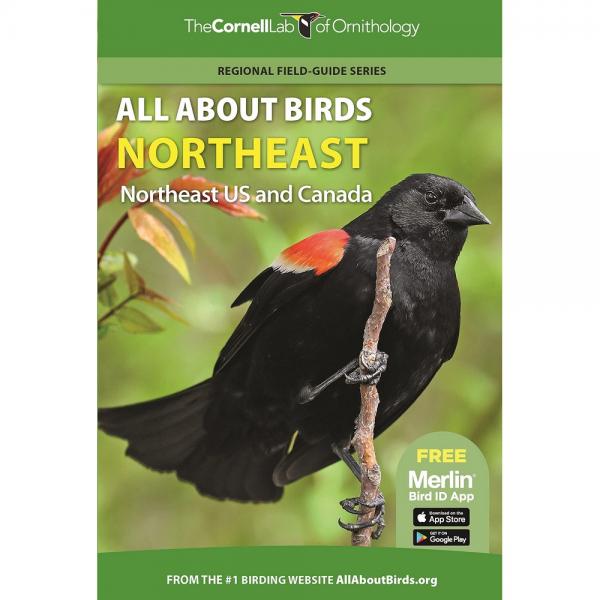 Picture of Princeton University Press PR9780691990026 All About Birds Northeast Guide Book