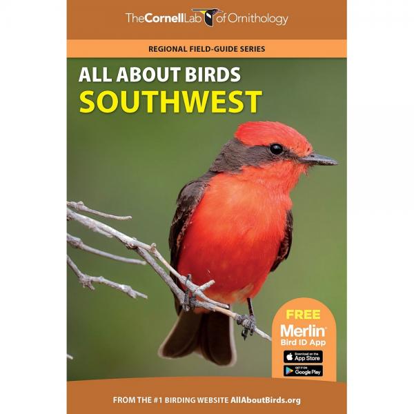 Picture of Princeton University Press PR9780691990040 All About Birds Southwest Guide Book