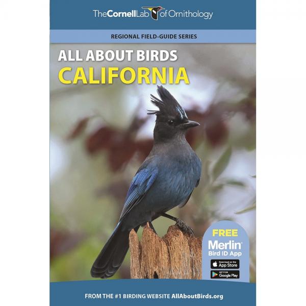 Picture of Princeton University Press PR9780691990057 All About Birds California Guide Book