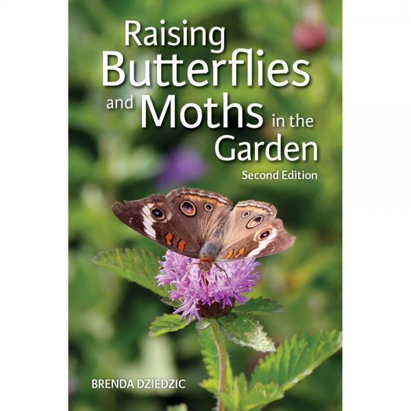Picture of Firefly Books FIRE0228104203 2nd Edition Raising Butterflies & Moths in the Garden Guide