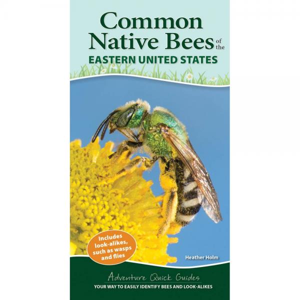 Picture of Adventure Keen AP51582 Common Native Bees of Eastern United States