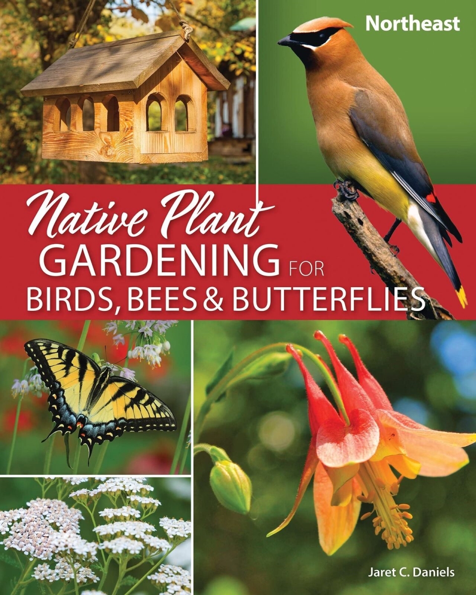 Picture of Jaret C Daniels AP52534 Native Plant Gardening Book for Birds&#44; Bees & Butterflies - Northeast