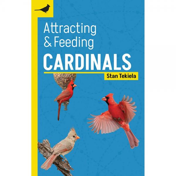 Picture of Adventure Keen AP53319 Cardinals Attracting & Feeding Bird Food
