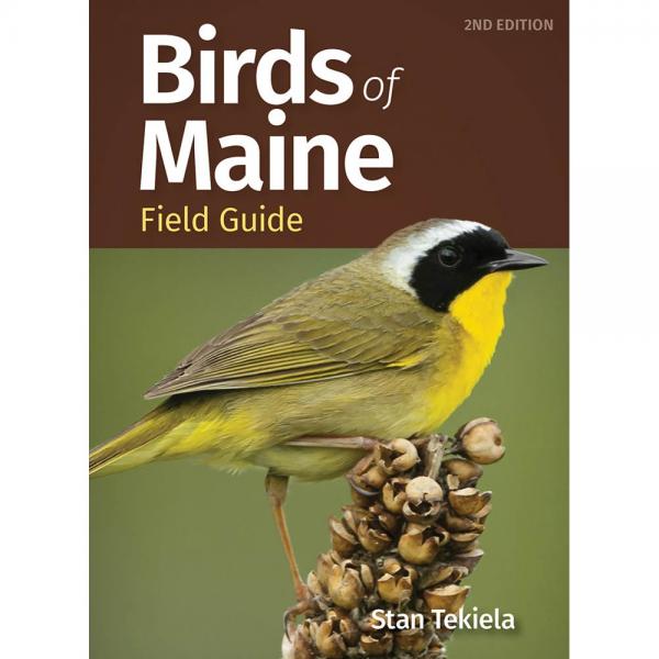 Picture of Adventure Keen Publication AP53685 Birds of Maine Field Guide 2nd Edition Book
