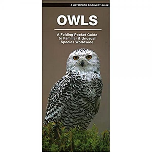 Picture of Waterford Press WFP1620054772 Owls A Folding Pocket Guide to Familiar Species Worldwide