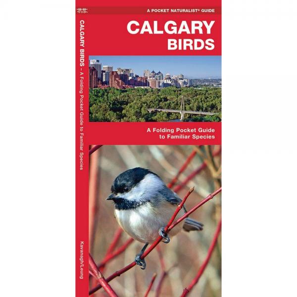 Picture of Waterford Press WFP1583555484 Calgary Birds Field Guide