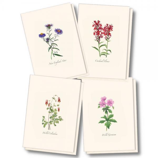 Picture of Earth Sky - Water Lewers LEWERSNC226 3.5 x 5 in. Meadow Wildflower Assorted Notecards