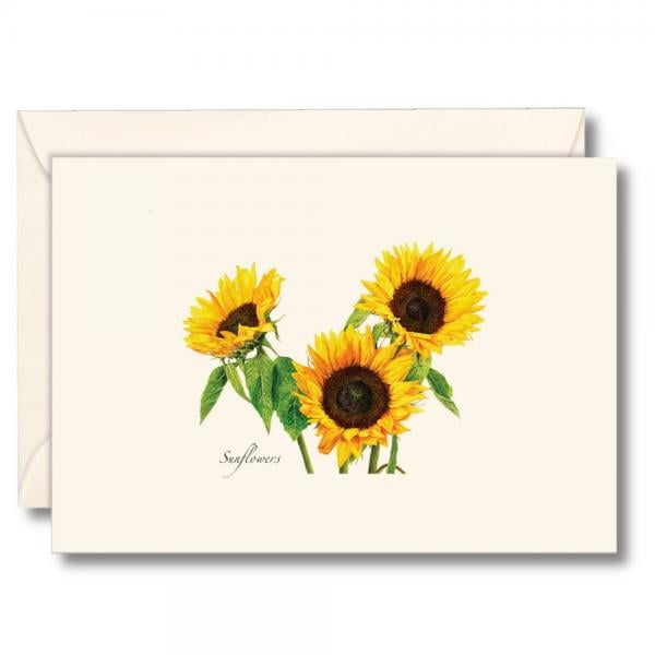 Picture of Earth Sky - Water Lewers LEWERSNC216 3.5 x 5 in. 3 Sunflowers Notecards
