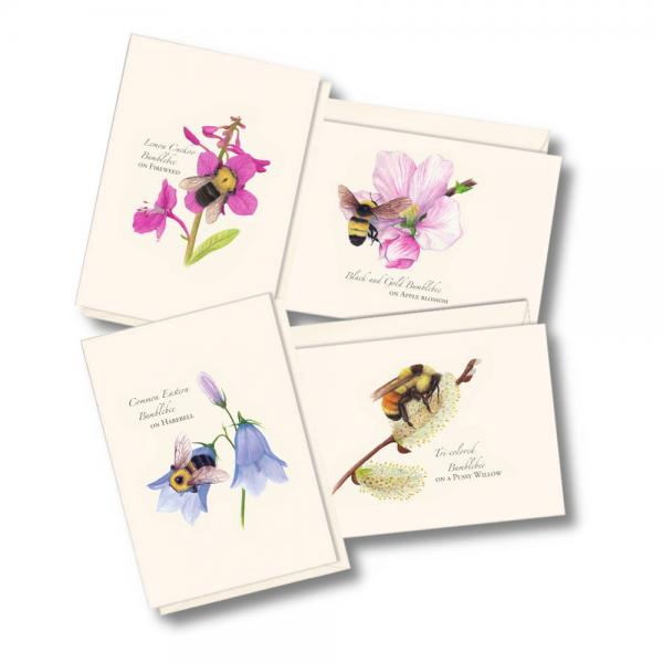 Picture of Earth Sky - Water Lewers LEWERSNC248 3.5 x 5 in. Spring Bee Asst Notecards
