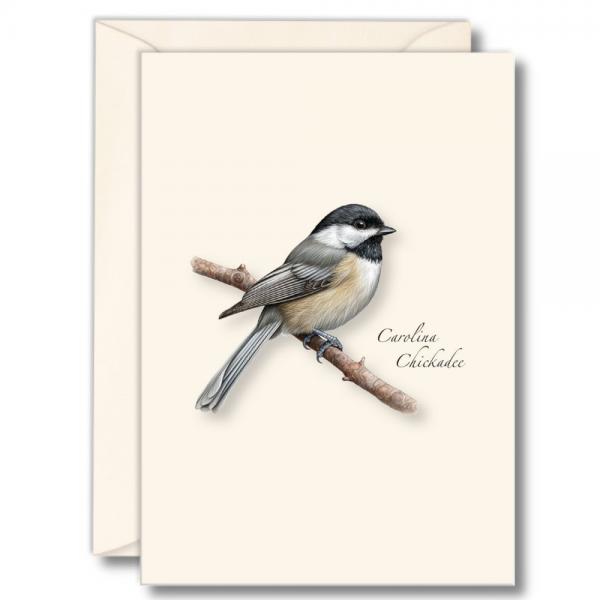 Picture of Earth Sky - Water Lewers LEWERSNC258 3.5 x 5 in. Carolina Chickadee Notecards