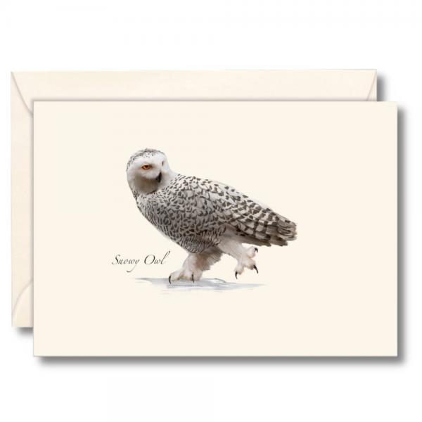 Picture of Earth Sky - Water Lewers LEWERSNC254 3.5 x 5 in. Snowy Owl Notecards