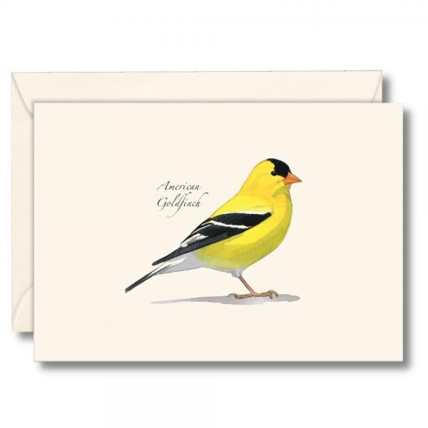 Picture of Earth Sky - Water Lewers LEWERSNC242 3.5 x 5 in. Sibleys American Goldfinch Notecards