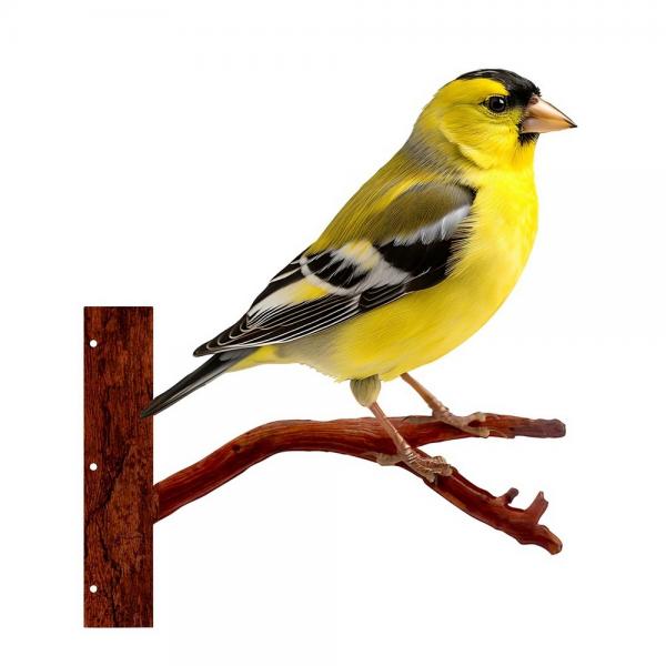 Picture of Next Innovations NI101156016 Replacement Peeking Goldfinch