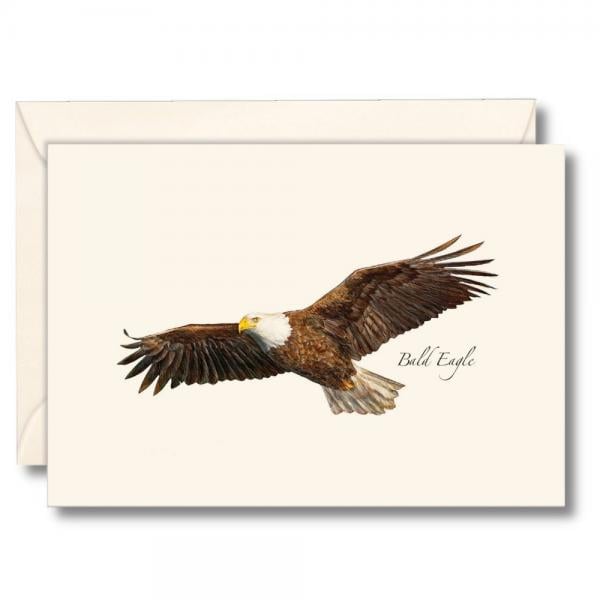 Picture of Earth Sky - Water Lewers LEWERSNC212 3.5 x 5 in. Bald Eagle Notecards