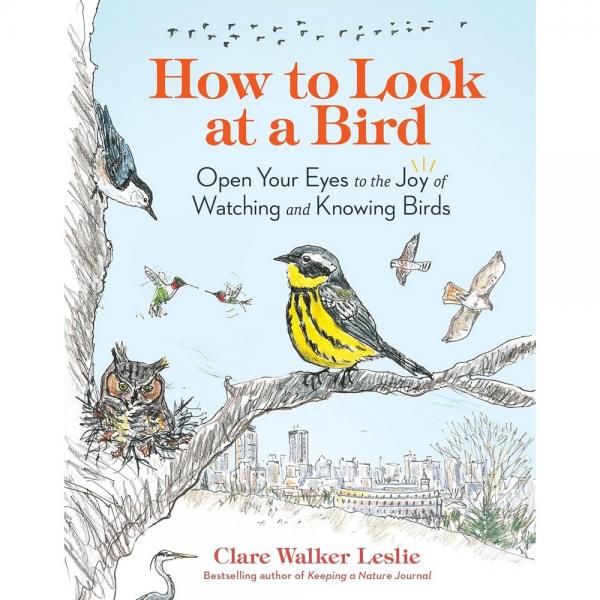 Picture of Workman Publishing HB9781635866490 How to Look at a Bird - Open your Eyes to the Joy of Watching & Knowing Birds Book