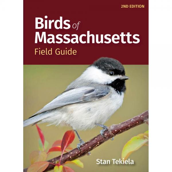 Picture of Adventure Keen Publications AP54033 Birds of Massachusetts Field 2nd Edition Guide
