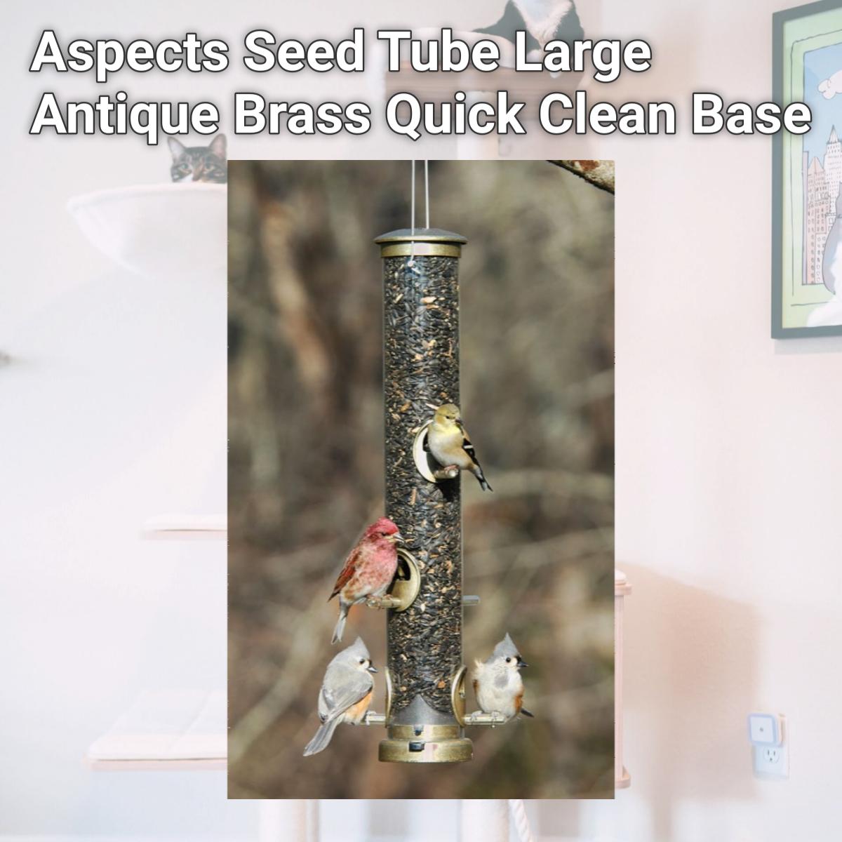 Picture of Aspects Seed Tube Large Antique Brass Quick Clean Base