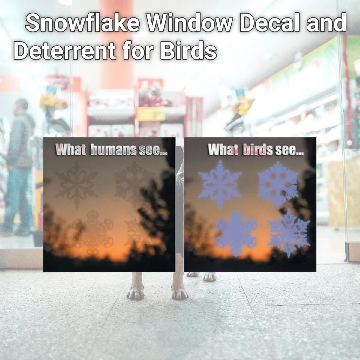 Picture of Window Alert WINDA7 Snowflake Window Decal and Deterrent for Birds