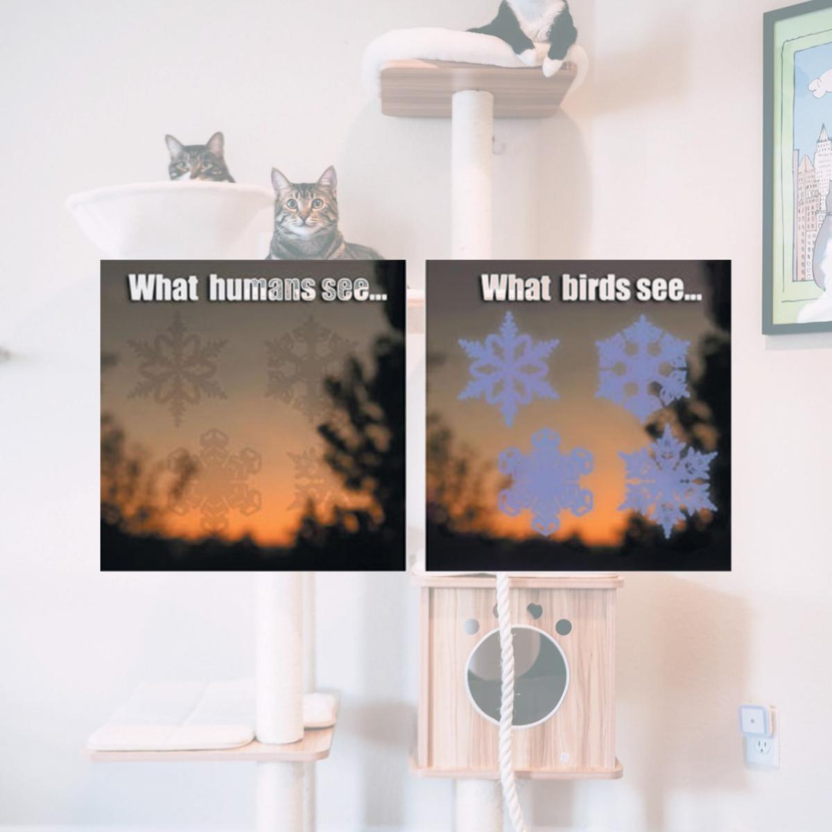 Picture of Window Alert WINDA7 Snowflake Window Decal and Deterrent for Birds