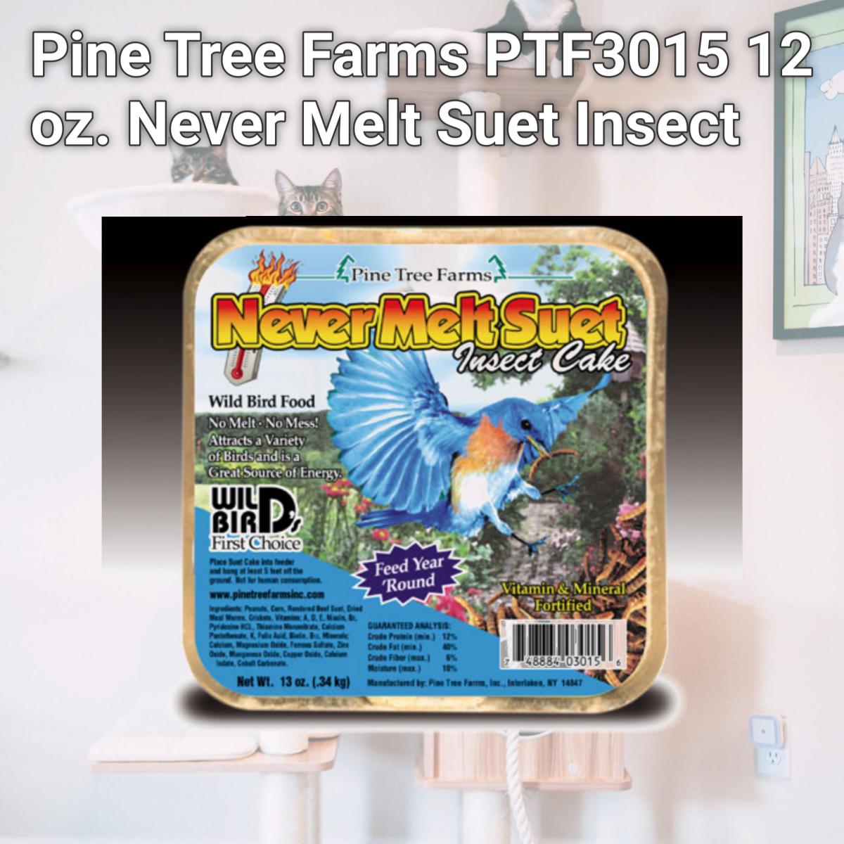 Picture of Pine Tree Farms PTF3015 12 oz. Never Melt Suet Insect  