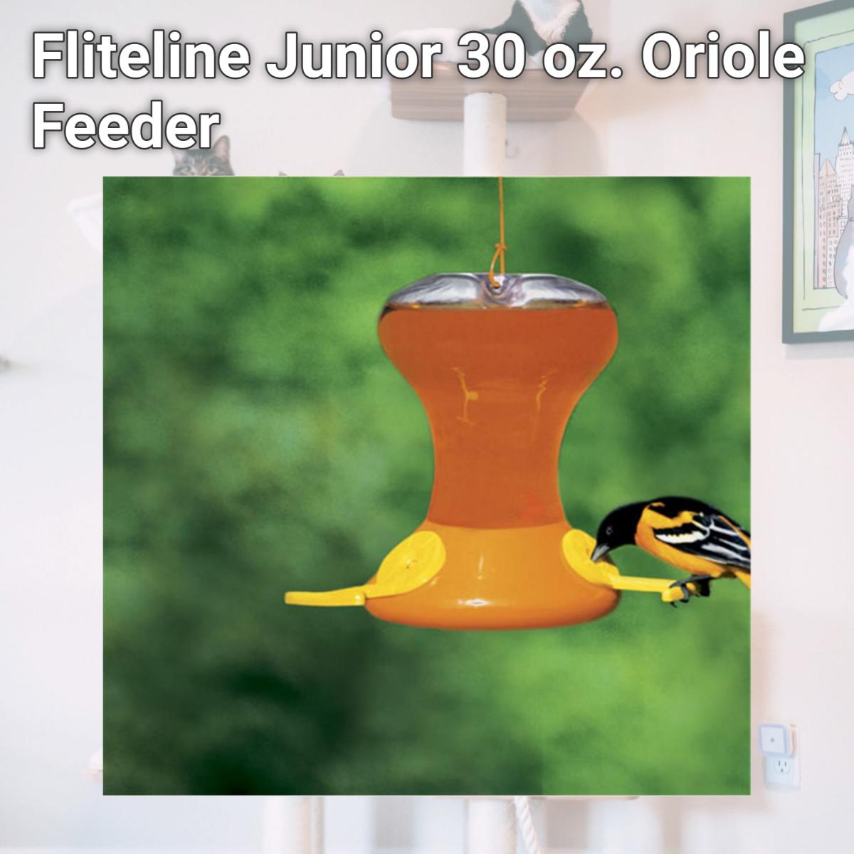 Picture of Fliteline Junior 30 oz. Oriole Feeder
