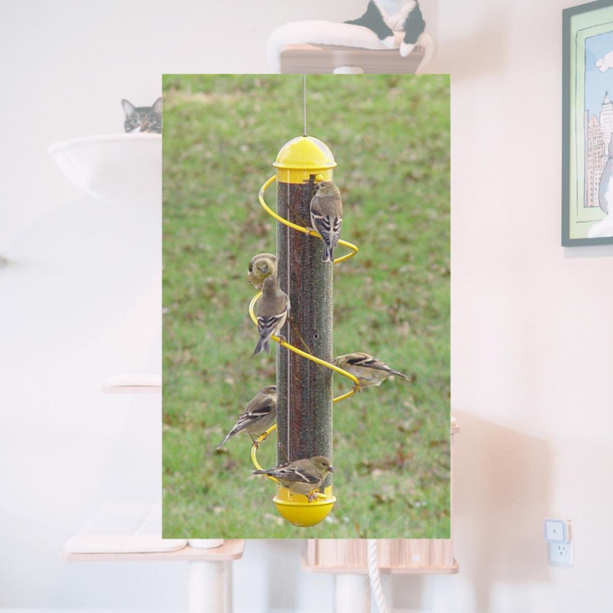 Picture of 17 Inch Yellow Spiral Finch Tube Feeder