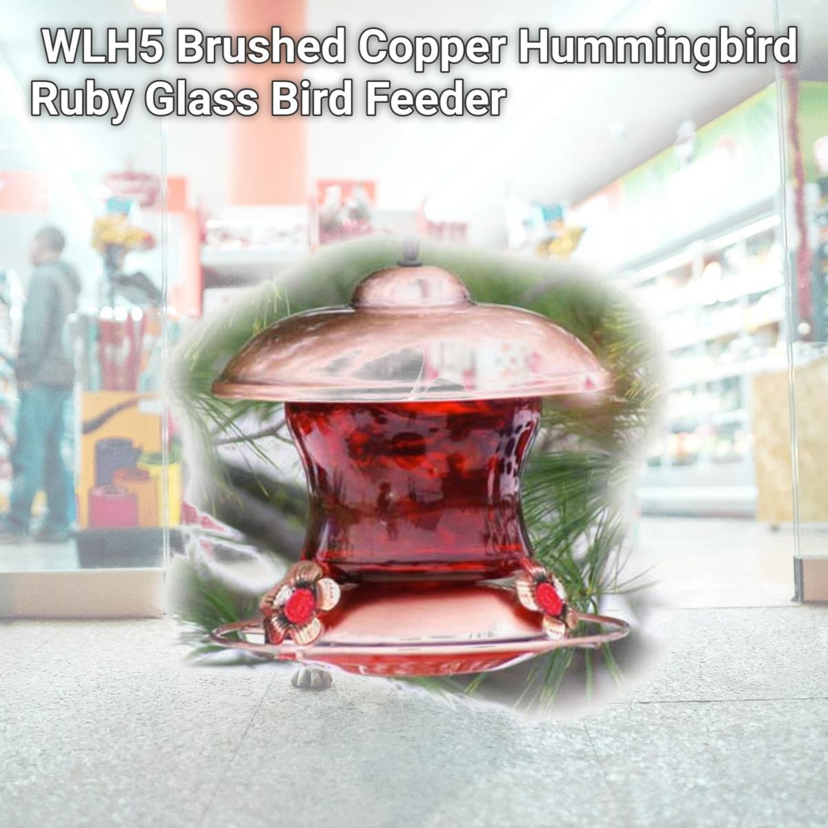 Picture of Woodlink Audubon Series WLH5 Brushed Copper Hummingbird Ruby Glass Bird Feeder