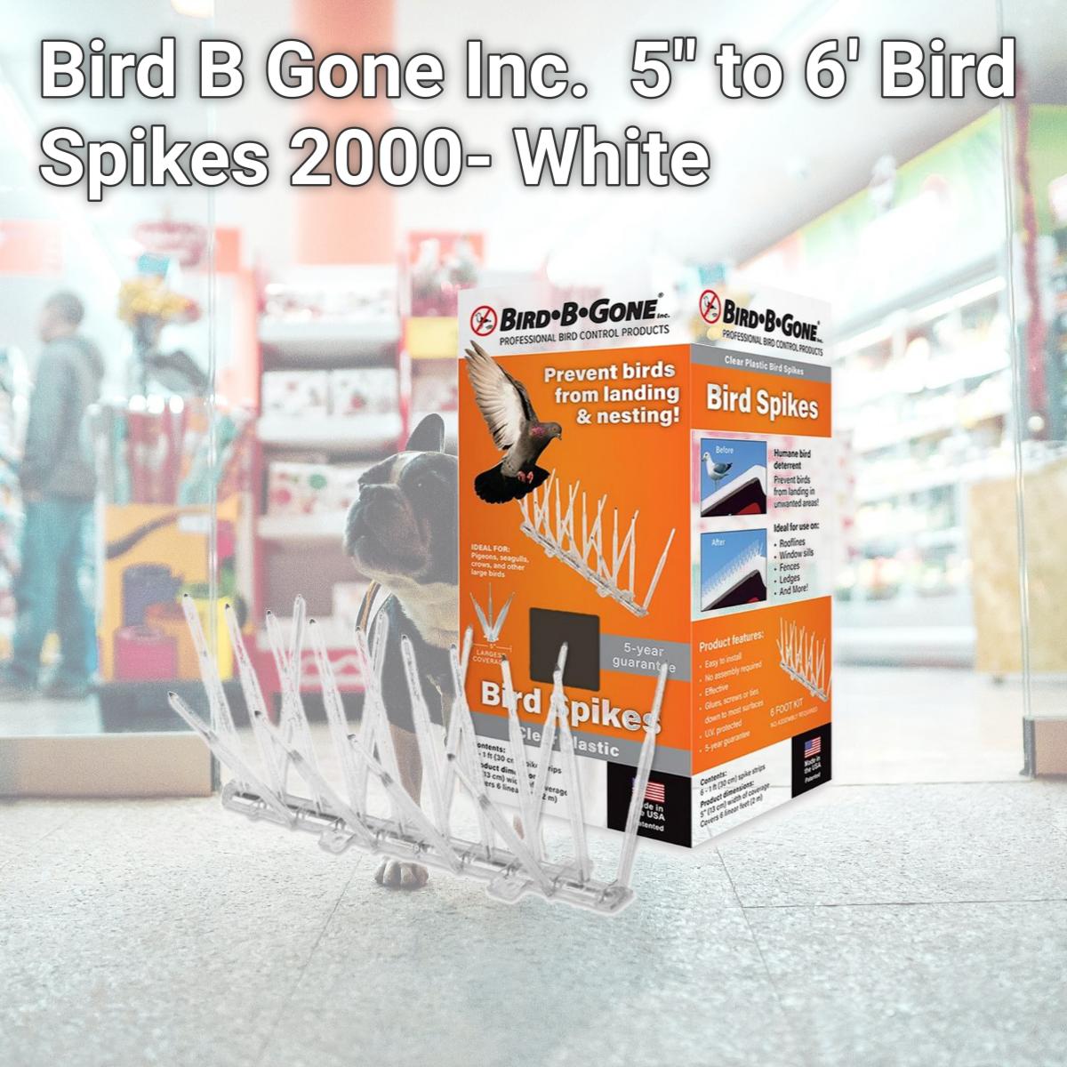 Picture of Bird B Gone Inc. BBGMM200056 5&quot; to 6&apos; Bird Spikes 2000- White