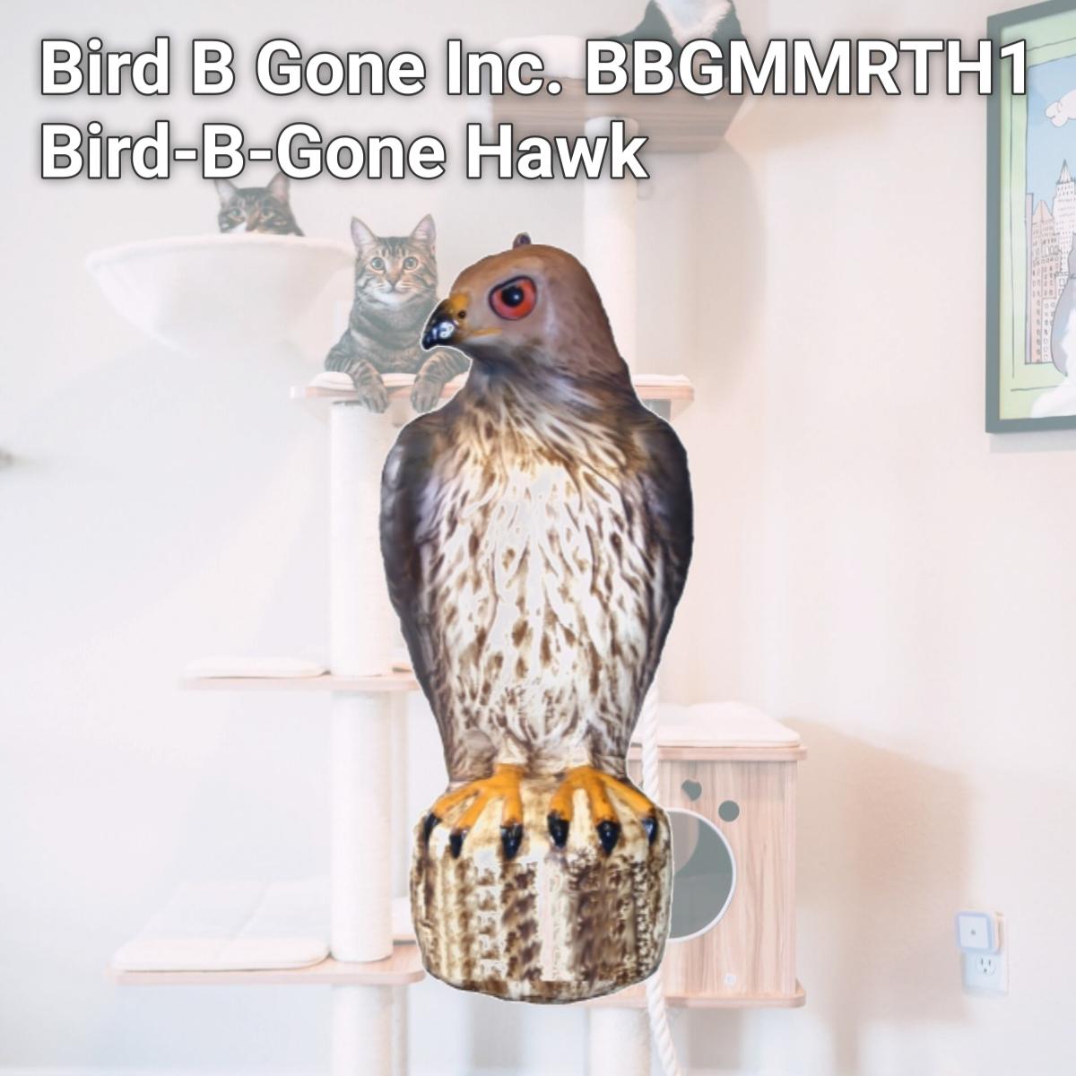 Picture of Bird B Gone Inc. BBGMMRTH1 Bird-B-Gone Hawk