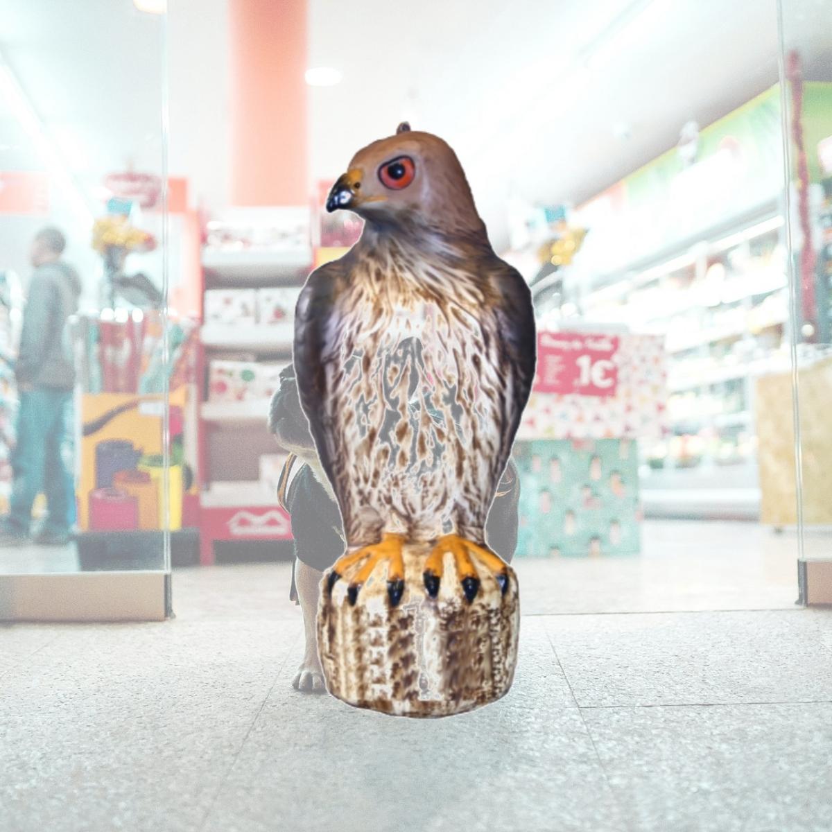Picture of Bird B Gone Inc. BBGMMRTH1 Bird-B-Gone Hawk