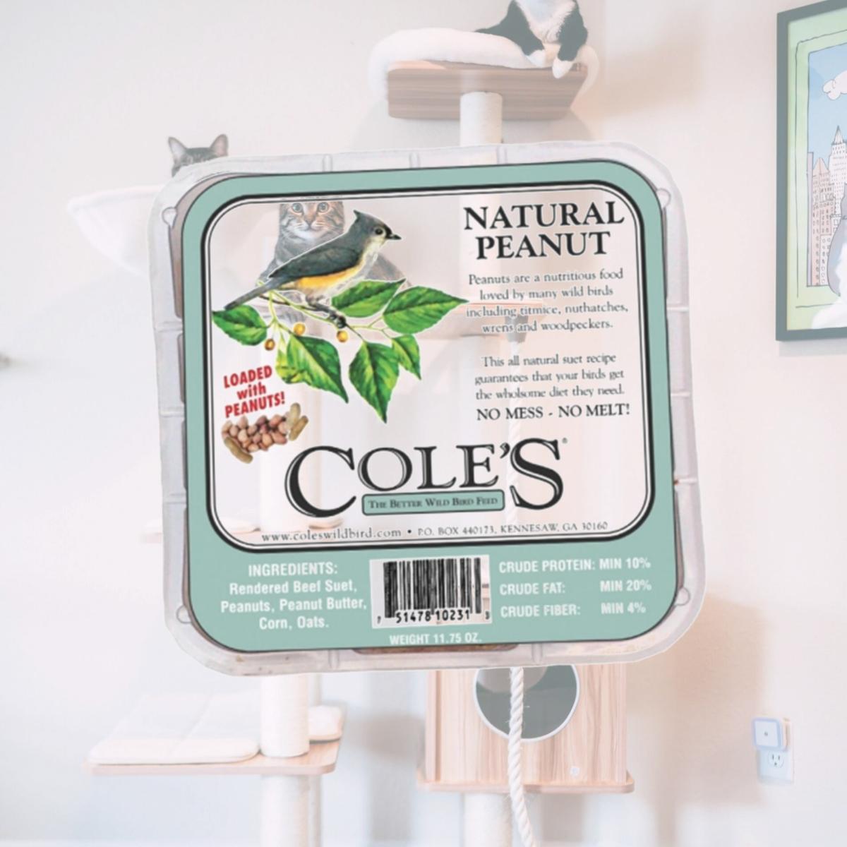 Picture of Coles Wild Bird Products Co COLESGCNPSU Natural Peanut Suet Cake 