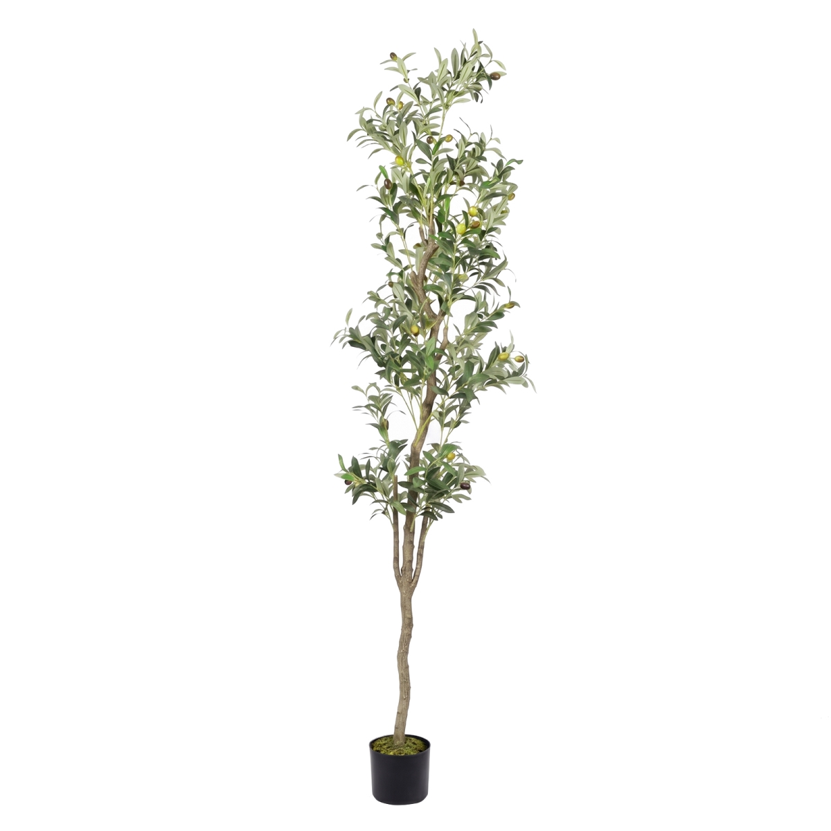 GS-01OT-6FT-SingleStem Artificial Olive Tree 6FT with Single Stem, Realistic Faux Olive Tree with Planter