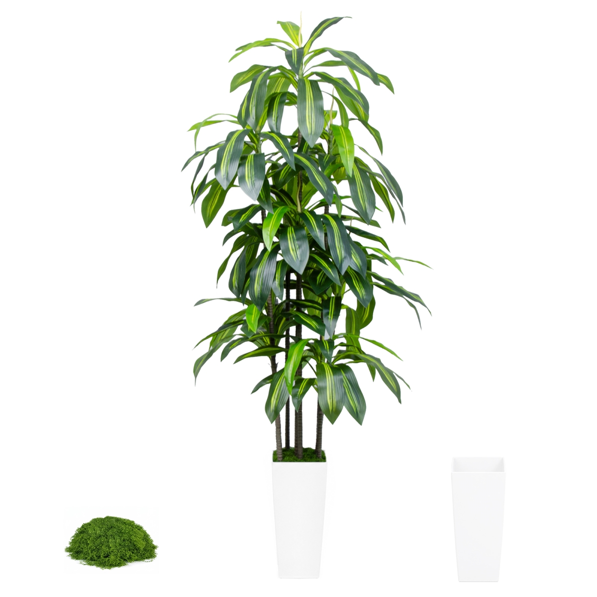 GS-01DT-6FT Artificial Dracaena Fragrans Tree 6FT with Black Pot