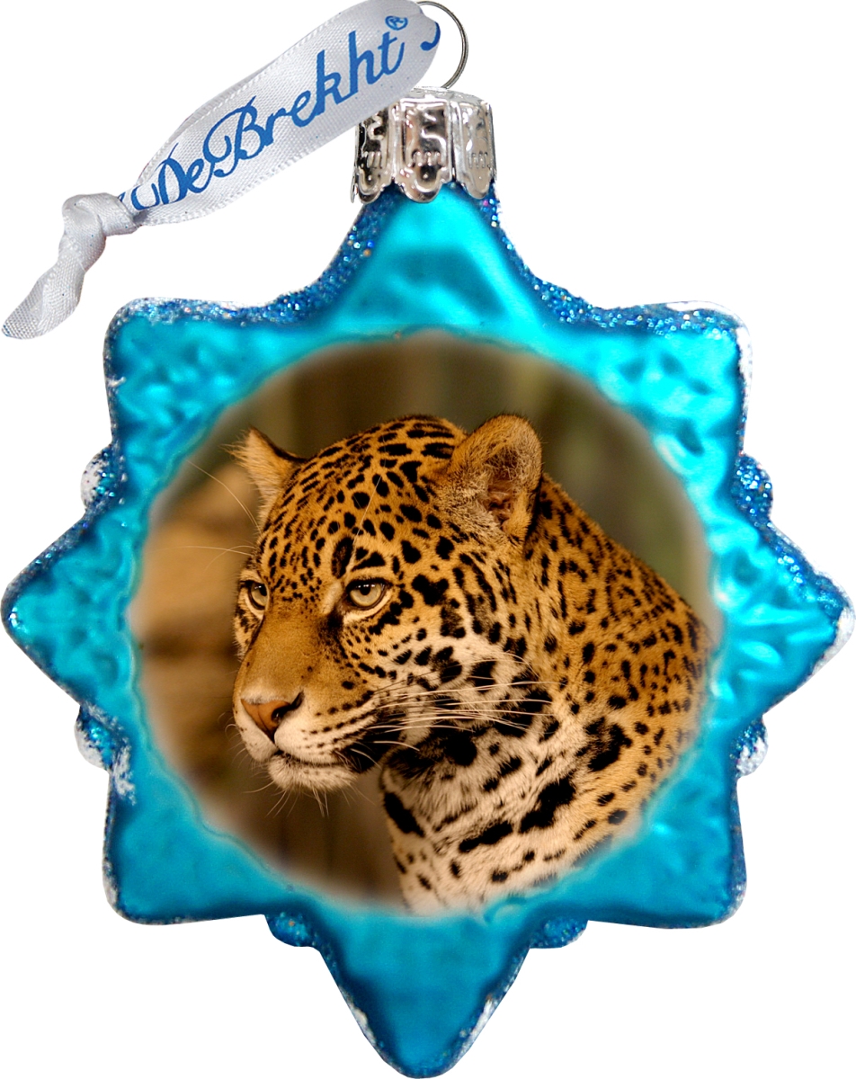 771041 Keepsake Glass Ornament