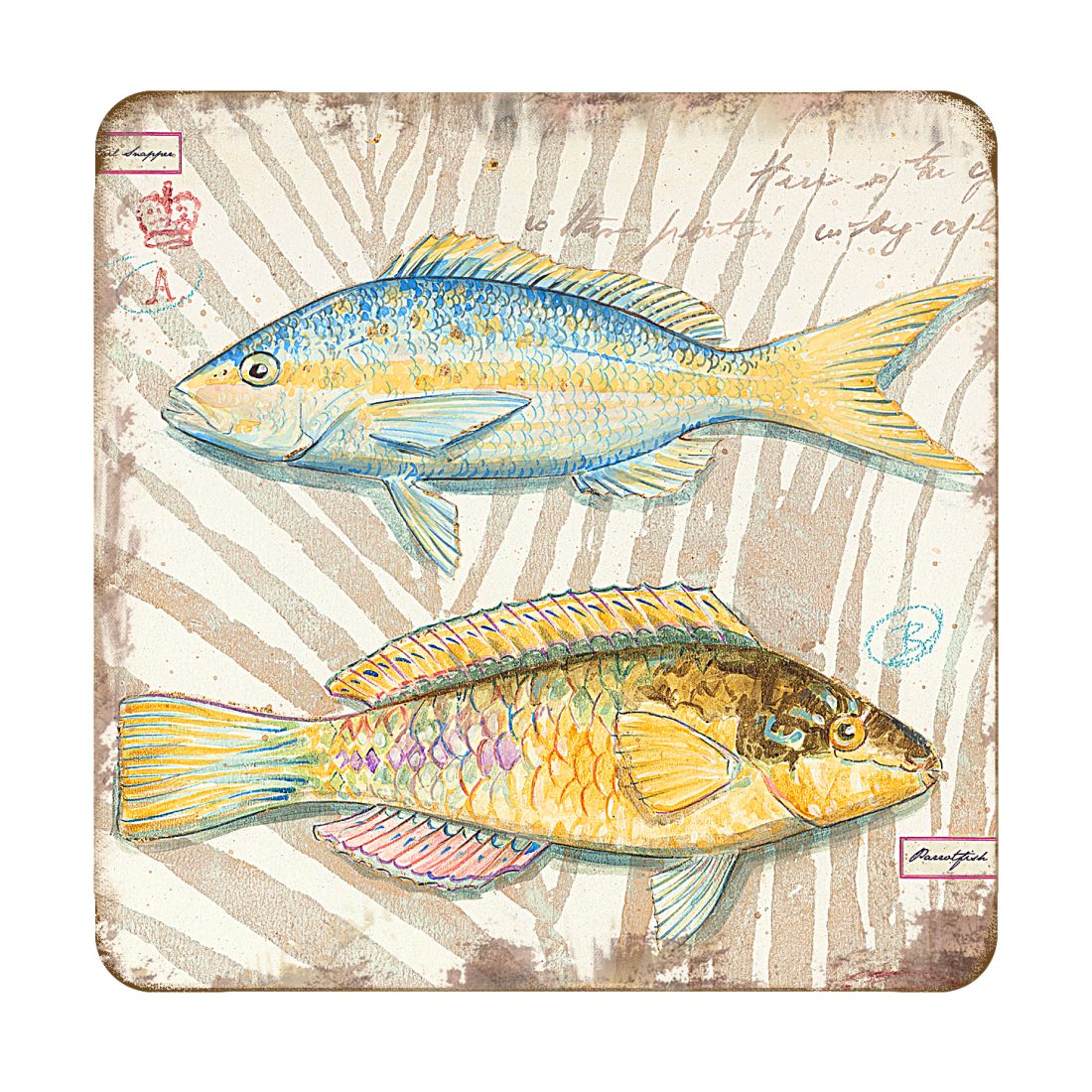 Picture of Nature Wonders 8198625C-S4 4 x 4 in. Fish Coastal Wooden Cork Coasters Gift - Set of 4