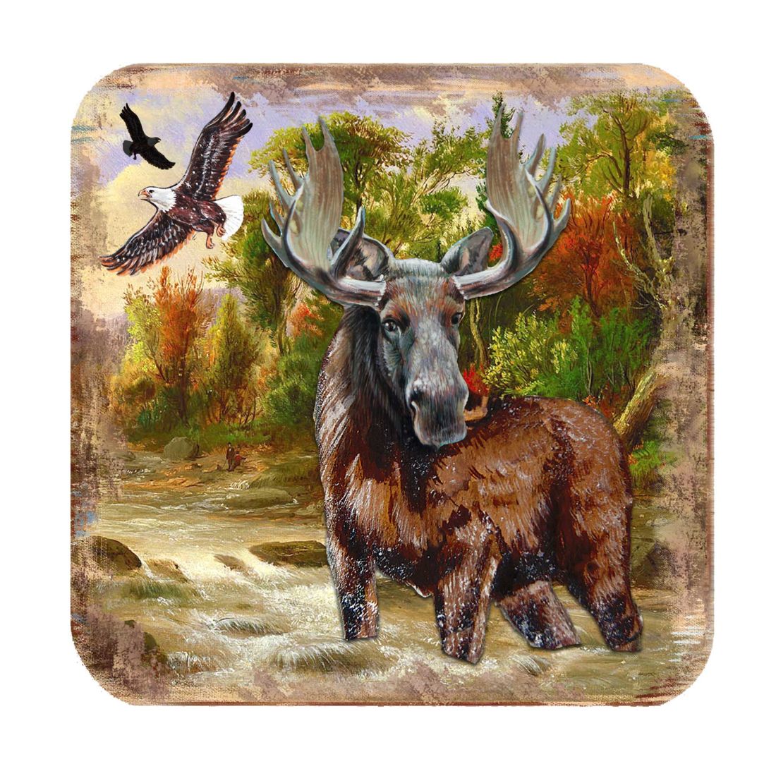Picture of Nature Wonders 95216-2C-S4 4 x 4 in. Moose Wooden Cork Coasters Gift - Set of 4