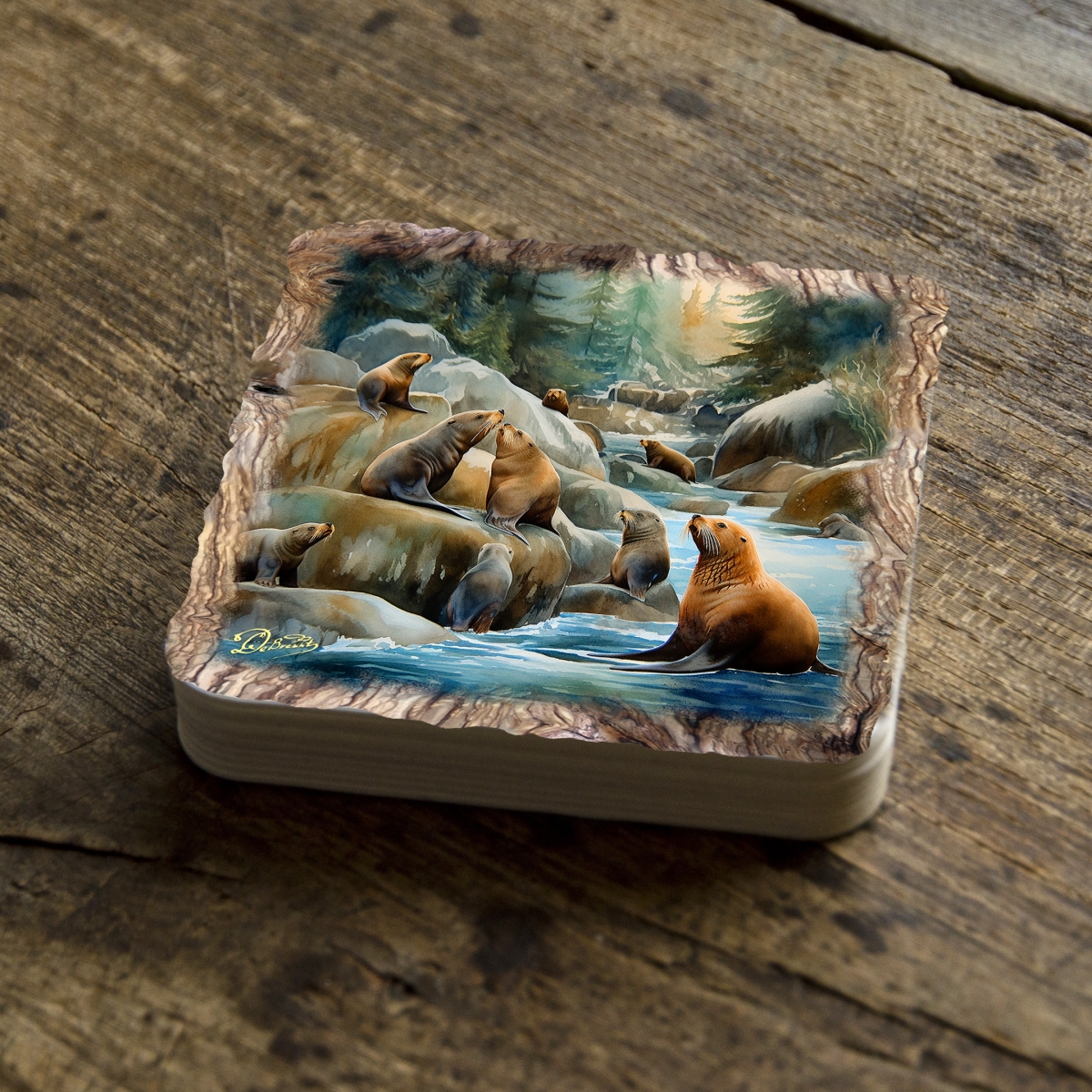 Picture of G. Debrekht 95387C-S4 Charming Sea Lions Wooden Cork Coasters Gift Set of 4 by Nature Wonders