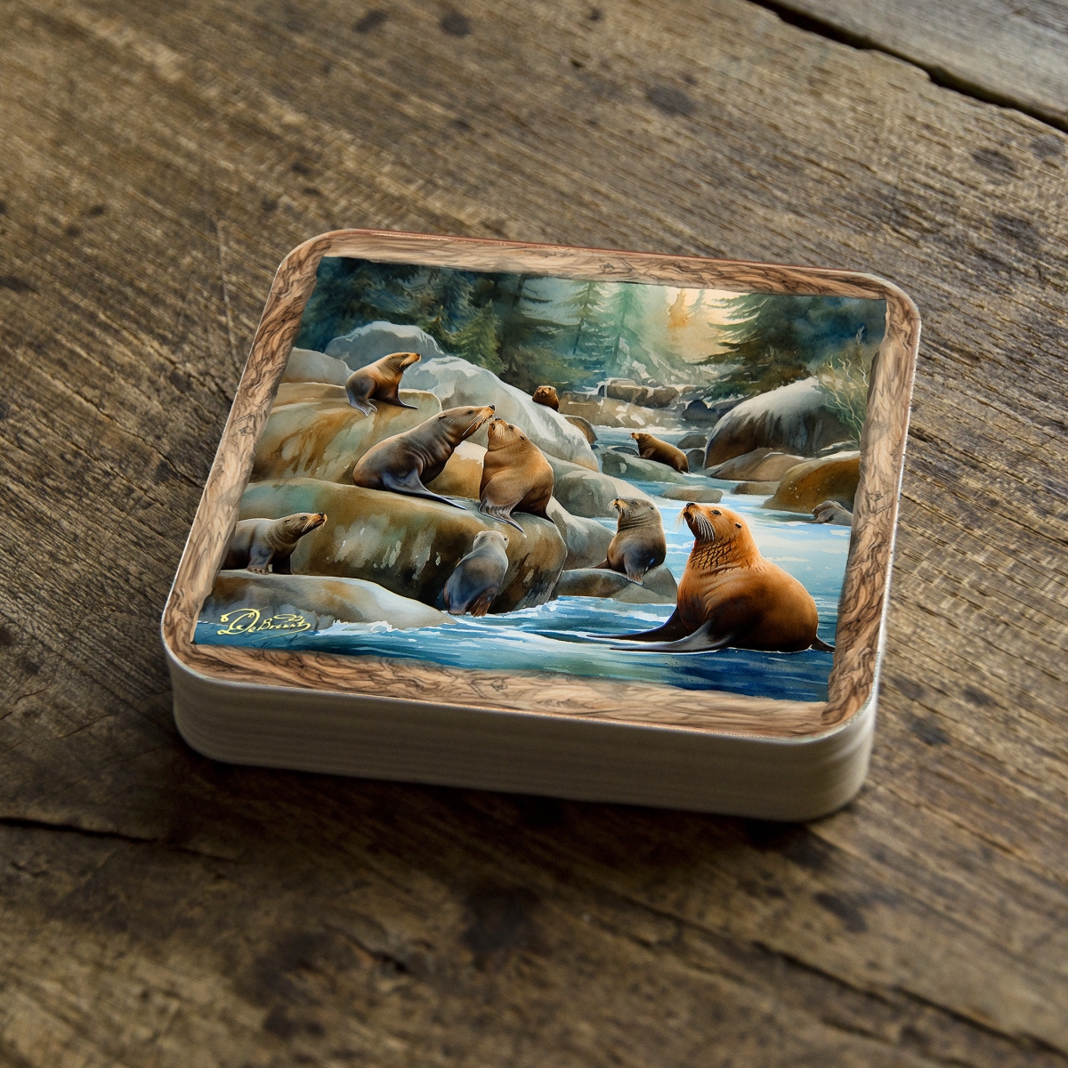 Picture of G. Debrekht 95386C-S4 Coastal Sea Lions Wooden Cork Coasters Gift Set of 4 by Nature Wonders