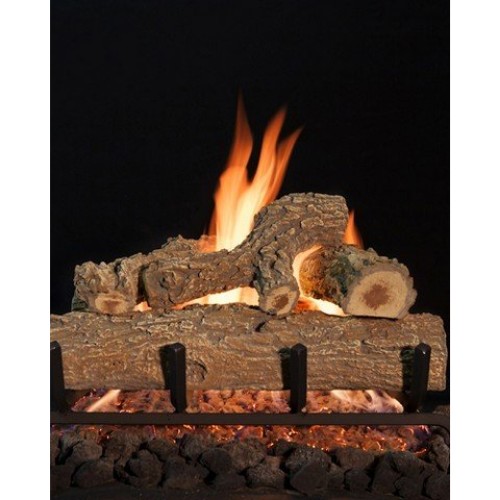 Picture of Grand Canyon Gas Logs 1BRN-18 1 Burner&#44; 18 in.