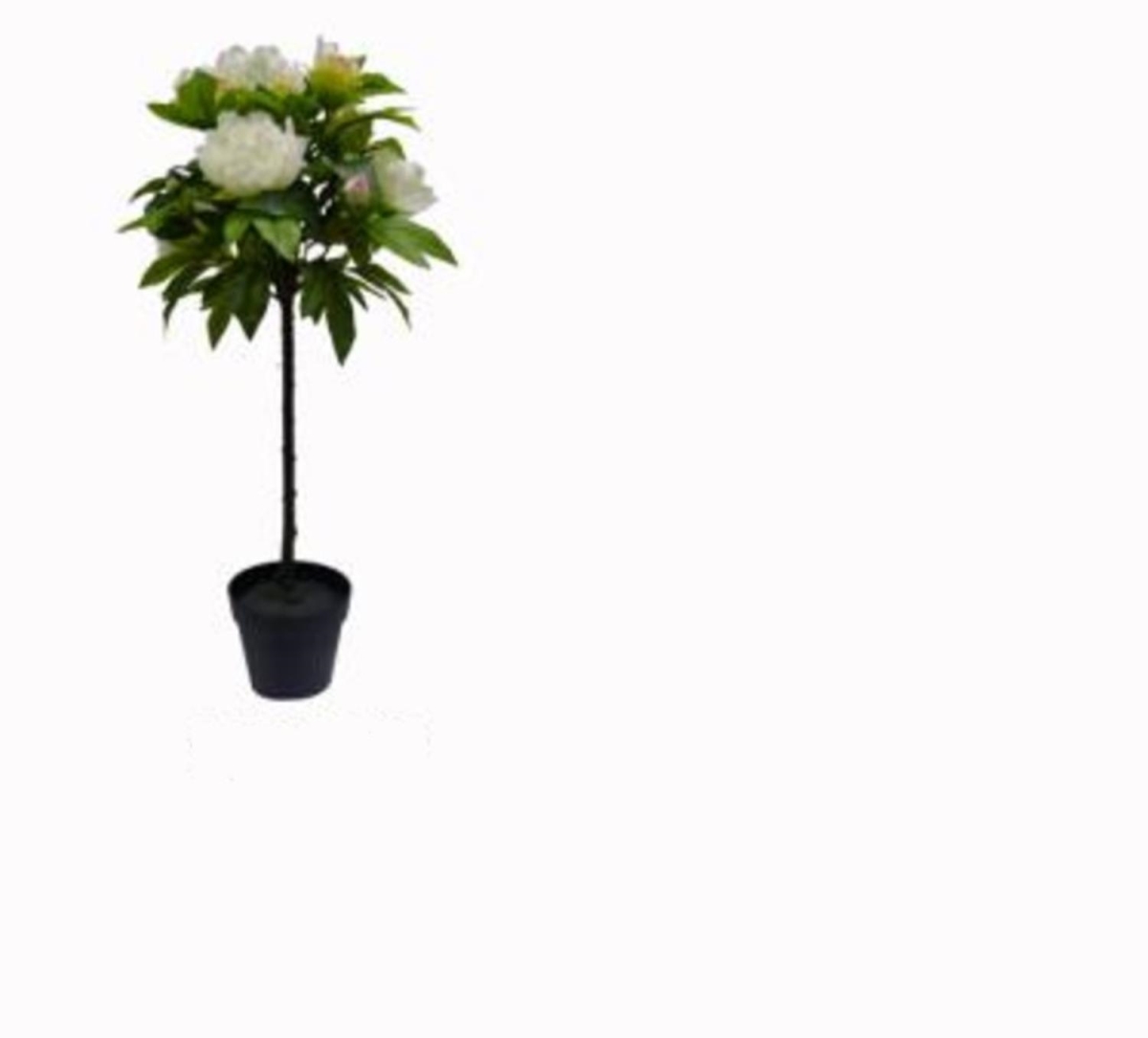 32606522 30.25 in. Potted Ball Shaped Topiary Tree with Large White Flowers