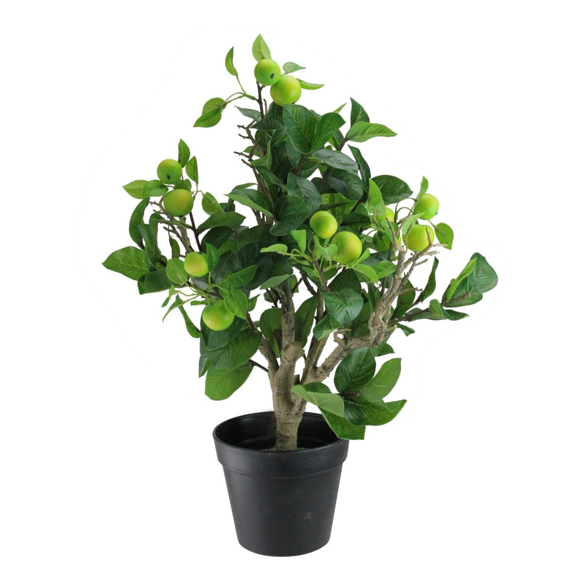 Picture of Northlight 32606359 23 in. Artificial Potted Bonsai - Style Decorative Green Apple Tree