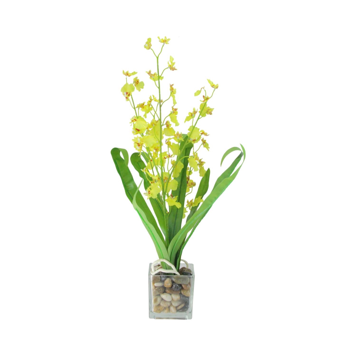 Picture of Northlight 32631474 23.5 in. Potted Artificial Yellow Dancing Lady Orchid Silk Flower Plant