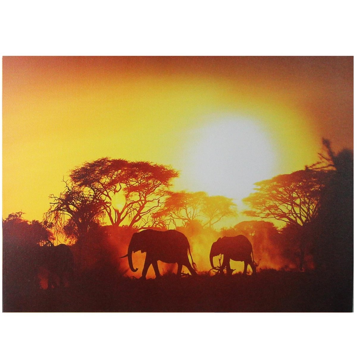 Picture of Northlight 32736649 Safari Sunset LED Back Lit Decorative Elephant Canvas Wall Art, 11.75 x 15.75 in.