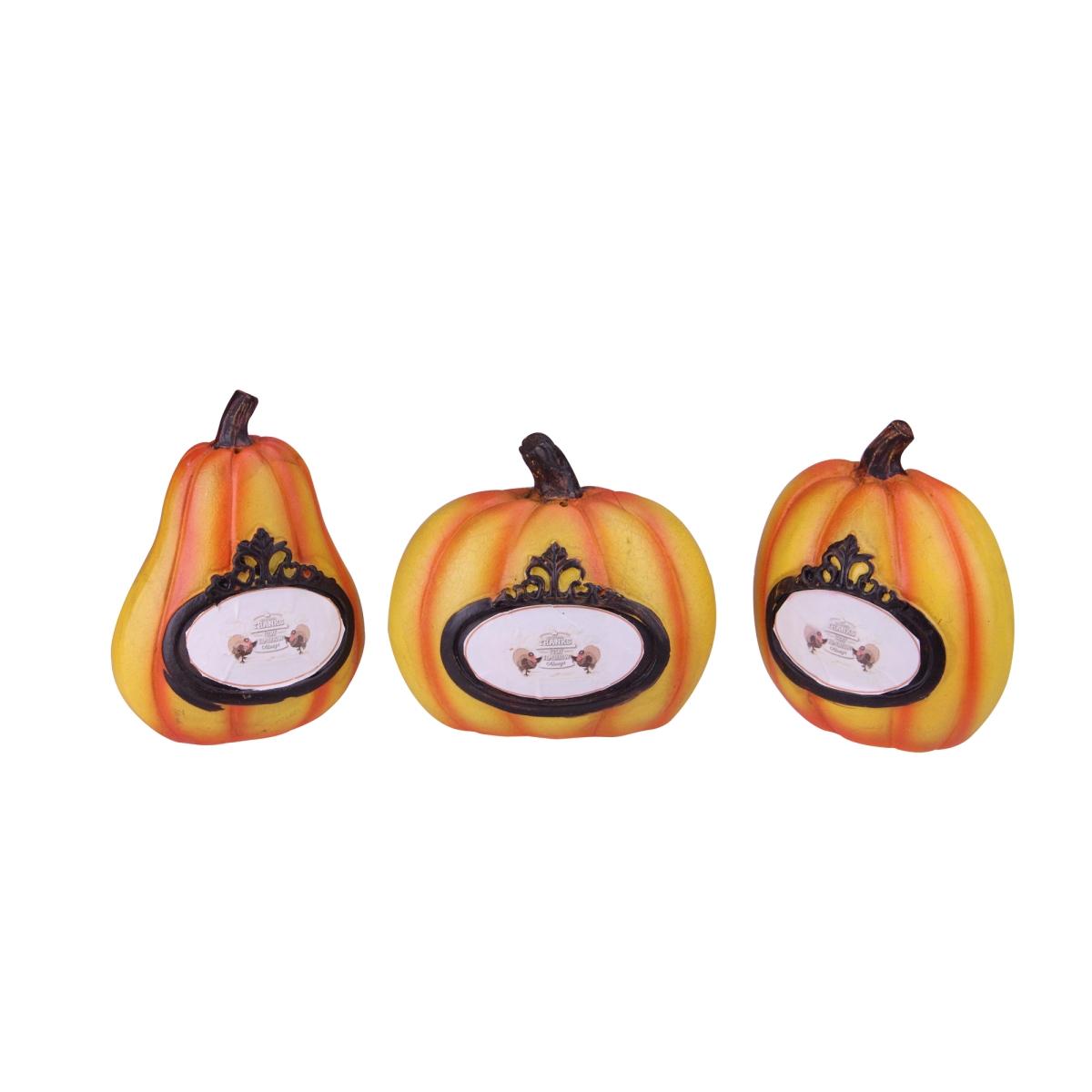 Picture of Northlight 32915443 Giving Thanks Table Top Thanksgiving Pumpkins - Set of 3