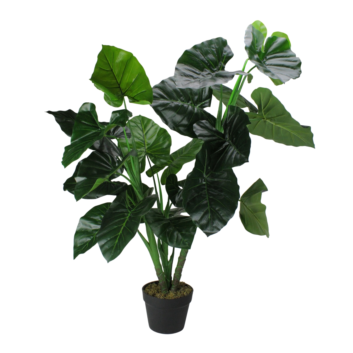 49 in. Two Tone Wide Taro Leaf Artificial Potted Floor Plant, Green