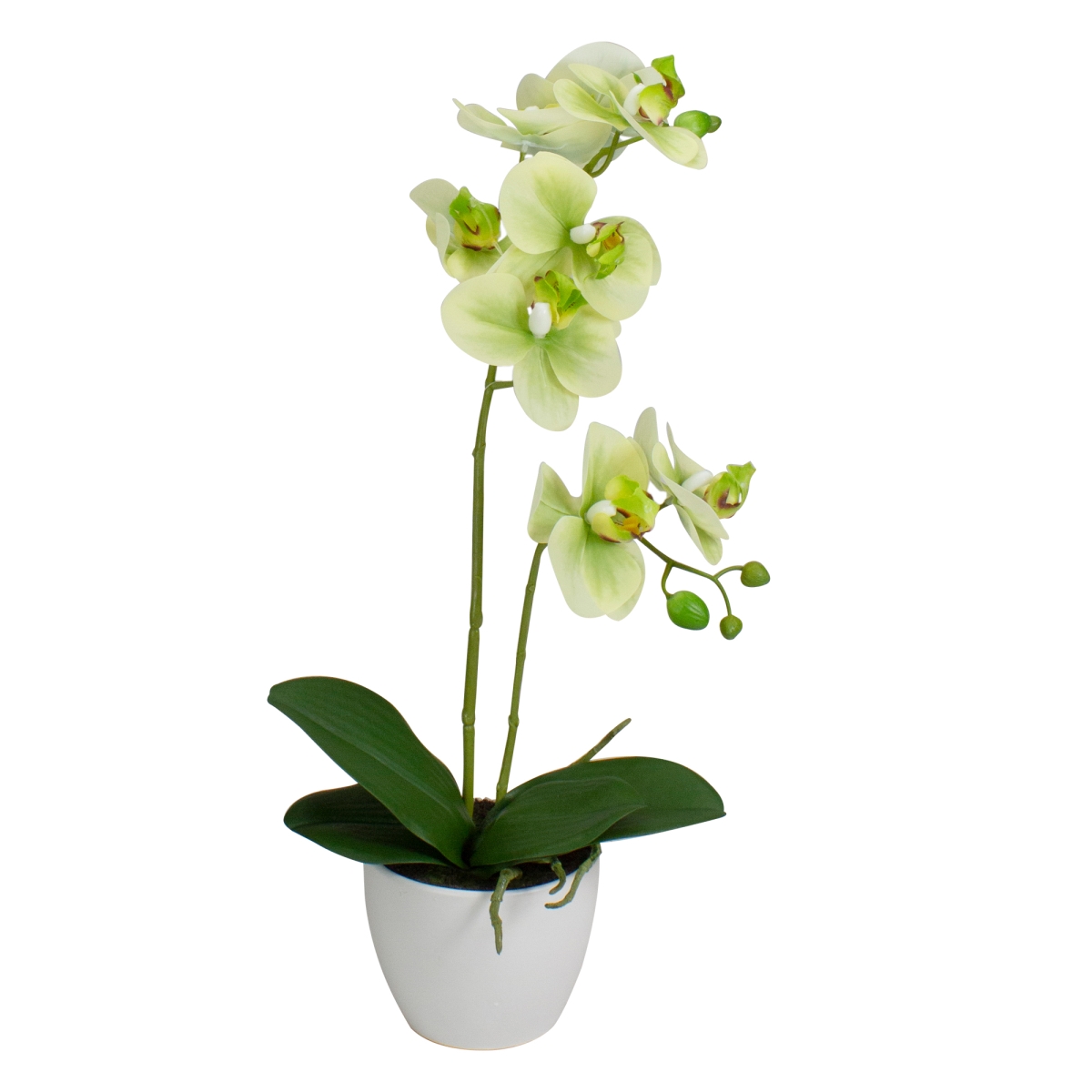 Picture of NorthLight 34219753 14 in. Artificial Orchid Potted Plant Tabletop Decor - Ivory&#44; Green & White