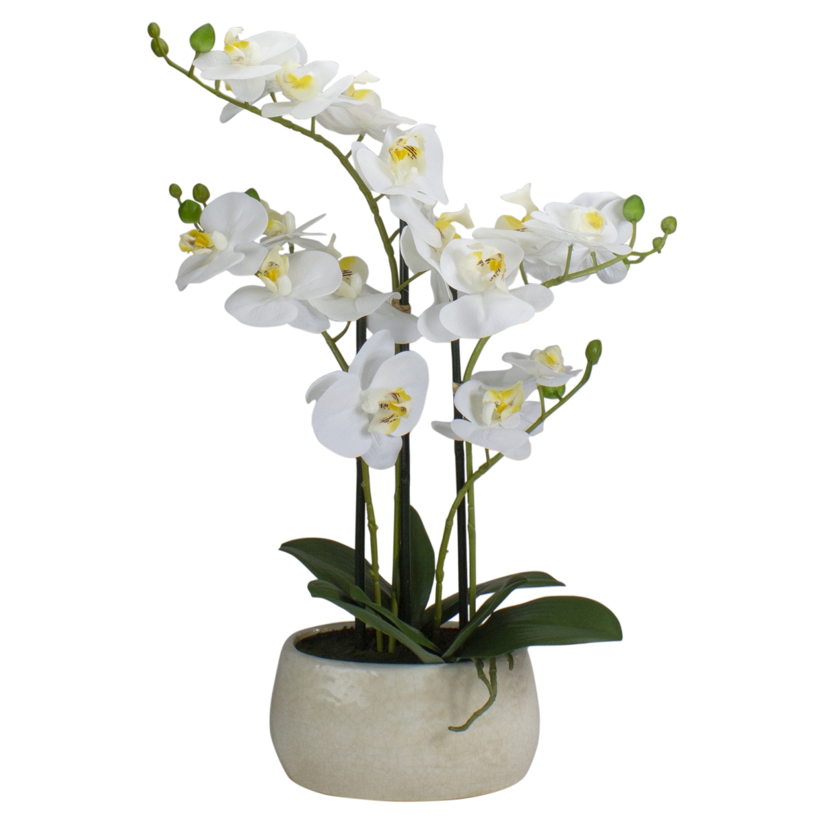 Picture of NorthLight 34219756 22 in. Artificial Orchid Plant with a White Oval Pot Tabletop Decor&#44; White & Yellow